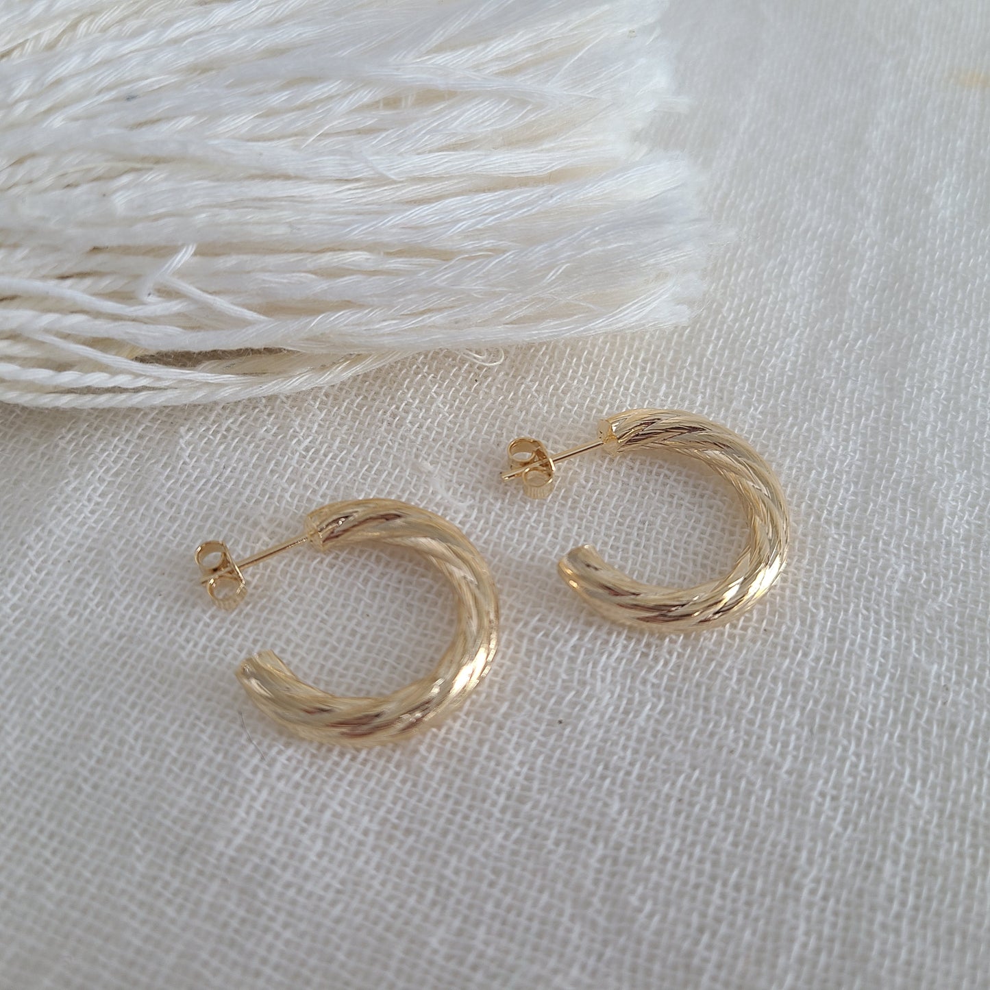 Stephanie Hoop Earrings